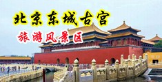 操BB特大黄色一级毛片中国北京-东城古宫旅游风景区